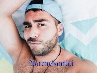 AaronSantini