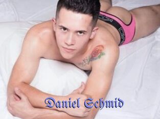 Daniel_Schmid